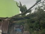 Prakiraan BMKG Cuaca Ekstrem hingga 8 November 2025, Waspadai Angin Kencang dan Pohon Tumbang