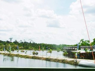 Taman Gaul Padat Pengunjung