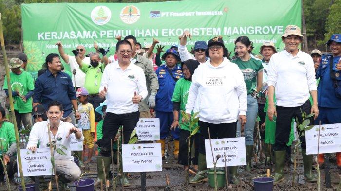 Menteri LHK Siti Nurbaya Tanam Bibit Mangrove di Buluminung PPU, Didampingi Kelompok Tani Setiakawan