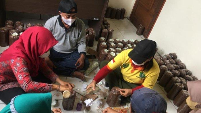 Bekali Pelatihan Budidaya Jamur Tiram, Yasiwa dan Fordas Kutim Sasar Anak Sekolah