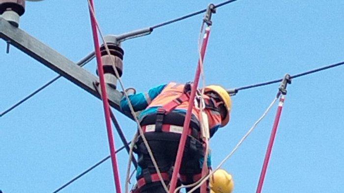 PLN Berau Pasang Insulator untuk Antisipasi Gangguan Listrik dari Gigitan Hewan Liar