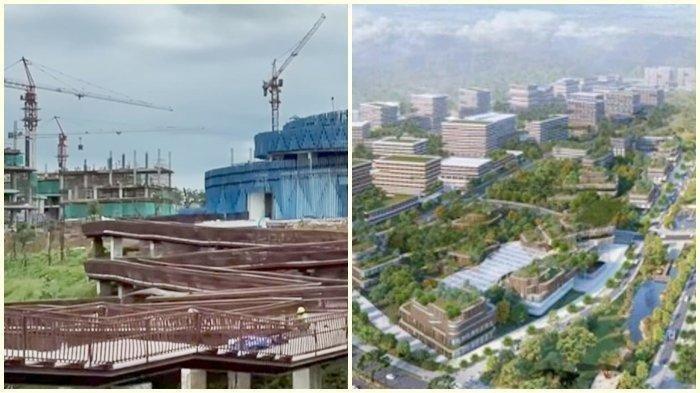 Dampak IKN Nusantara, NASA Ungkap Hutan di Kaltim Menyusut, OIKN Sebut Pohon Eucalyptus Jadi Faktor