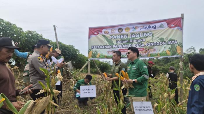 Kegiatan panen jagung ini dilaksanakan di Desa Jonggon Jaya, Kecamatan Loa Kulu, Kabupaten Kutai Kartanegara, bersama Kelompok Tani Sumber Makmur.