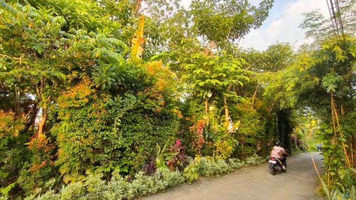 RUANG TERBUKA HIJAU - Cuaca cerah, adem, rindang di Gala Puncak, Perum Pesona Bukit Batuah, Kelurahan Graha Indah, Kecamatan Balikpapan Utara, Kota Balikpapan, Kalimantan Timur, Minggu (25/1/2026) pagi. Saat pagi, suara kicau burung mendominasi. Banyak burung menghinggap di beberapa ranting pohon peneduh yang tumbuh subur.