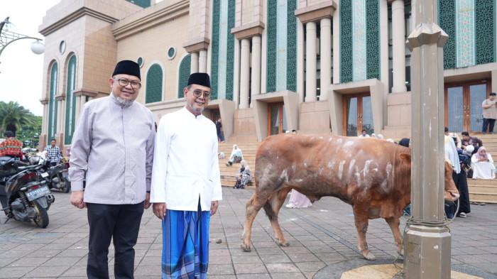 20260527_Sapi Kurban Bankaltimtara