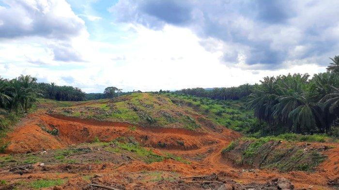 Cuaca Paser Hari Ini, 10 Kecamatan Bakal Berawan Tebal dari Pagi hingga Malam