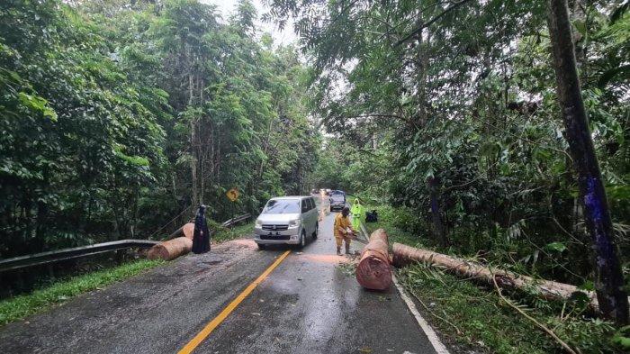 BPBD Kaltim Minta Warga Waspada Kondisi Terkini Cuaca yang Berpotensi Hujan dan Angin Kencang