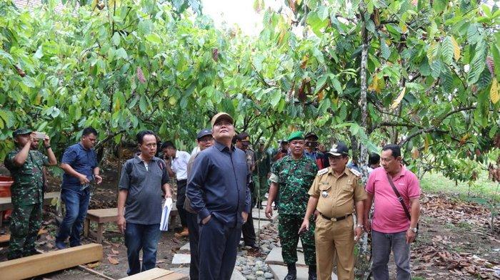 Pemkab Mahakam Ulu Dorong Petani Kakao untuk Fokus Meningkatkan Hasil Panen