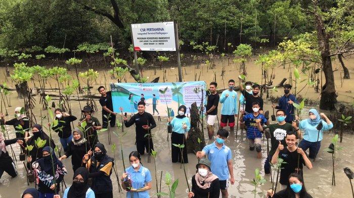 Balikpapan Youth Spirit Gelar Aksi Muda Jaga Iklim, Tanam Bibit Mangrove