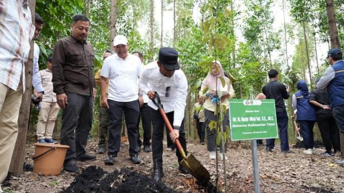 TANAM POHON MERANTI - Pada kesempatan penanaman pohon di kawasan IKN, Gubernur Kaltim Rudy Masud menanam pohon jenis Meranti, sedangkan Manhut Raja Juli menanam pohon jenis Tengkawang.