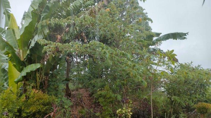 Cuaca Balikpapan Hari Ini, Hujan Deras Turun, Tengah Malam Ada Disertai Petir