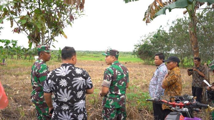 TMMD ke-114 di Kukar Buka Lahan Tidur 117 Hektare, TNI Bangun Akses Jalan Pertanian