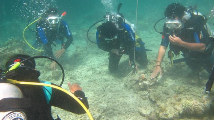 Terumbu Karang Malingkit sangat Menjanjikan