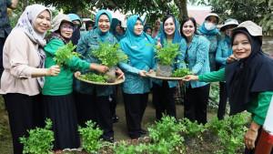 01102025_Kunjungan_Tim_verifikasi_lomba_Aku_Hatinya_PKK__Kaltim_2025JPG.jpg