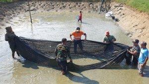 20230525_PT-Indexim-Coalindo-mendampingi-kegiatan-budi-daya-ikan-nila.jpg