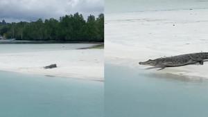 20230623_buaya-di-bidukbiduk.jpg