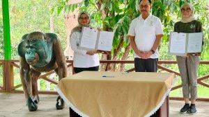 20230713_IKN-Nusantara-Ingin-Menghutankan-Lagi.jpg