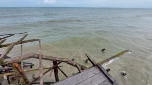 20230718_-puing-kayu.jpg