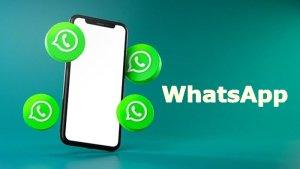 20230802_WhatsApp.jpg