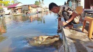 20230809_Buaya-Riska-Diduga-Makan-wanita.jpg
