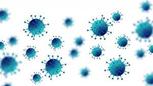 20230918_virus-nipah.jpg