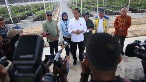 20230922_Mentawir-IKN-Nusantara-pada-Kamis-21-September.jpg