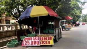 20231107_Pedagang-buah-dengan-kendaraan-roda-empat.jpg