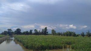 20231116_lahan-pertanian-produktif-di-Babulu.jpg