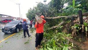20240108-Waspada-cuaca-ekstrem-di-Berau.jpg