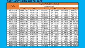 20240205_KUR-BRI-2024-3.jpg