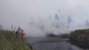 20240227-Kebakaran-Hutan-dan-Lahan-Karhutla.jpg