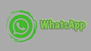 20240307_sadap-wa-jarak-jauh-2024-tanpa-scan_daftar-kontak_sadap-WhatsApp.jpg