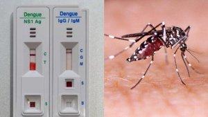 20240416_Rapid-test-digunakan-untuk-deteksi-dini-DBD-di-Mahulu-Kaltim.jpg