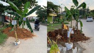 20240722_ganti-untung-lahan.jpg
