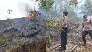 20240916_kebakaran-lahan.jpg