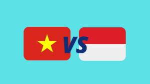 20241214_vietnam-indo-ya.jpg