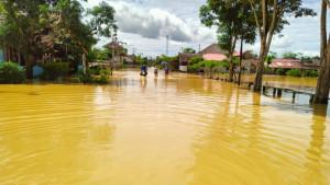 20250127_banjir-Pampang_Samarinda_2.jpg