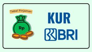 20250130_tabel-pinjaman-KUR-BRI_cara-pengajuan.jpg