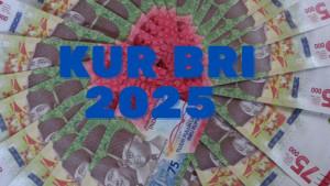 20250214_syarat-pengajuan-KUR-BRI-2025_tabel-angsuran_tabel-pinjaman.jpg