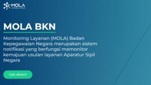 20250320_penetapan-NIK-CPNS-dan-NI-PPPK-2025_Mola-BKN_jadwal-pengangkatan-CASN-terbaru.jpg