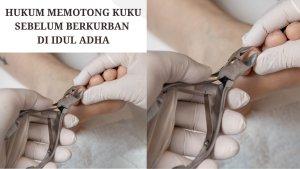20250603_Hukum-memotong-kuku-sebelum-berkurban.jpg
