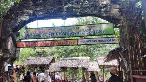 20250613_Pasar-Tumpah-Pringgodani.jpg