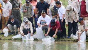 20250921-sebar-ikan-2.jpg20250928_ikan-papuyu_ikan-sultan-Kalimantan_ketahanan-pangan-IKN_Kaltim.jpg