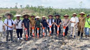 20250923_penanaman-padi-gogo-di-berau.jpg