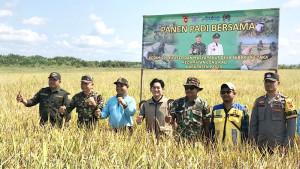 20250924_-panen-padi-milik-petani.jpg