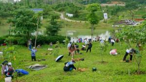 20251003-tanam-kopi.jpg
