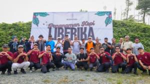 20251003_Tanam-Kopi-Liberika.jpg