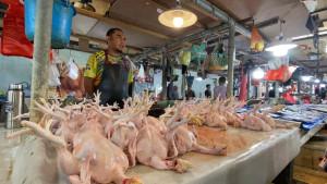 20251004_Rudi-Penjual-Ayam-Ras-di-Pasar-Klandasan-menyebut-harga-ayam-alami-kenaikan.jpg
