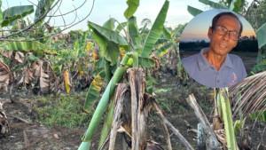 20251014_Kondisi-lahan-milik-Slamet-warga-warga-Amborawang-Darat-Akibat-Tambang.jpg