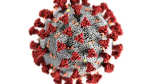 20251019_influenza-a.jpg